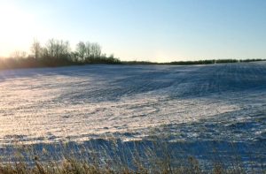 Snow-covered countryside